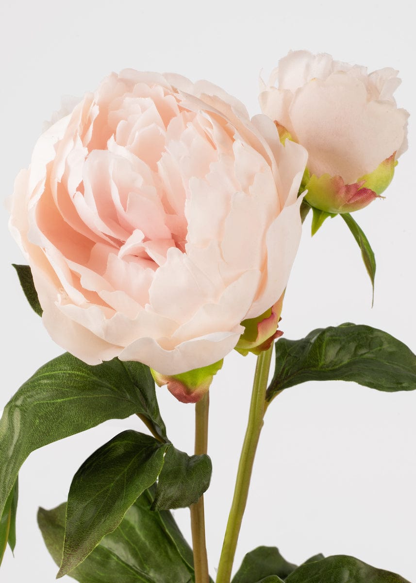 Real Touch Fake Flowers Blush Peony - 27" - Sweet Water Decor - Faux Plant