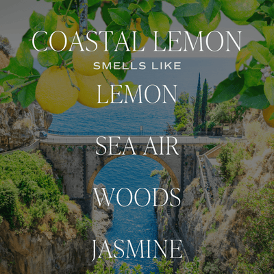 Coastal Lemon Clear Reed Diffuser - Sweet Water Decor - Reed Diffusers