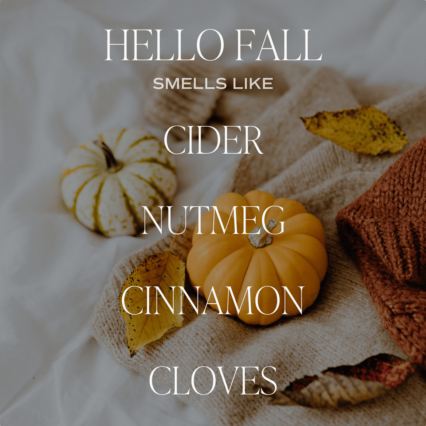 Hello Fall Clear Reed Diffuser THON - Sweet Water Decor - Reed Diffusers