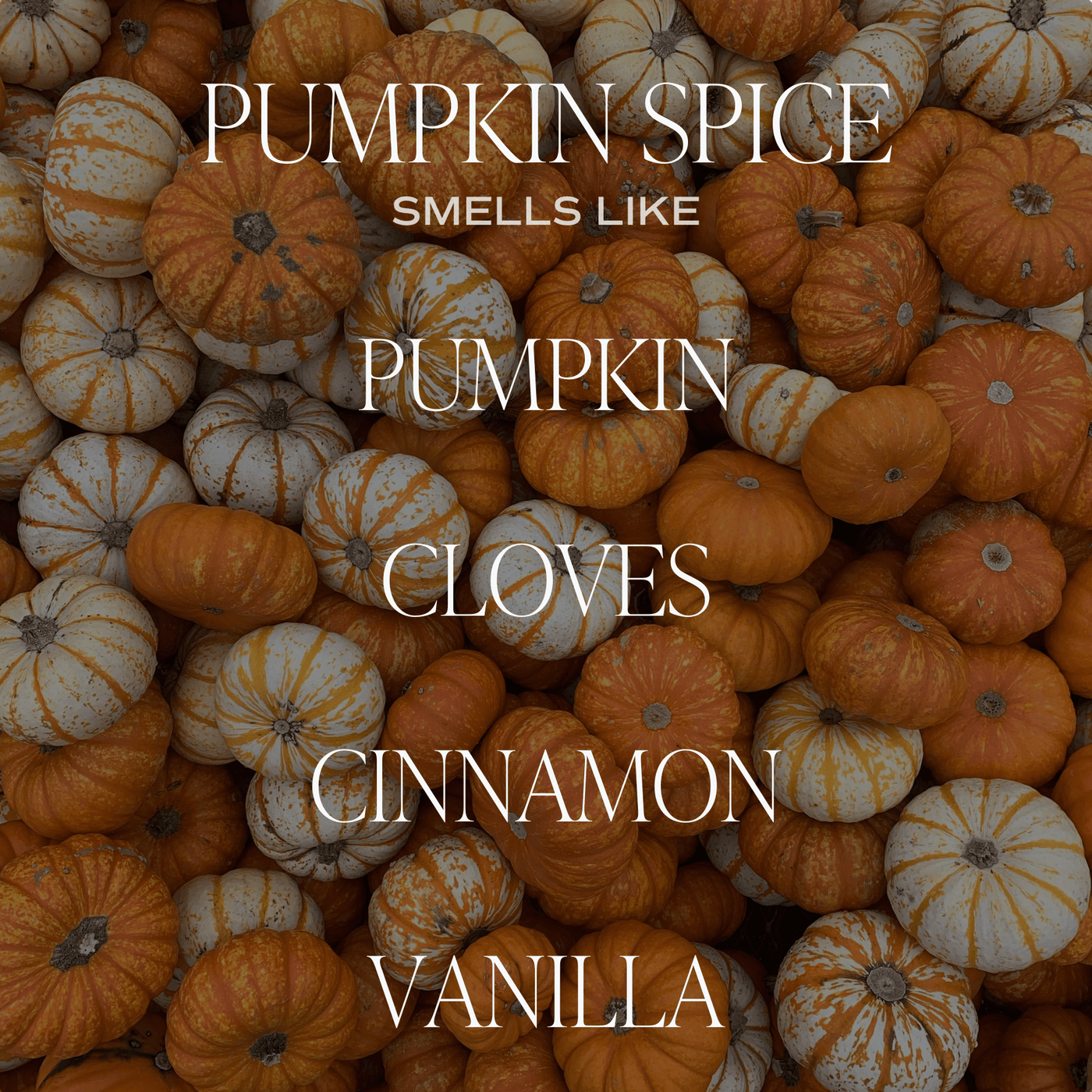Pumpkin Spice Soy Candle | 9oz. Clear Jar - Sweet Water Decor - Candles