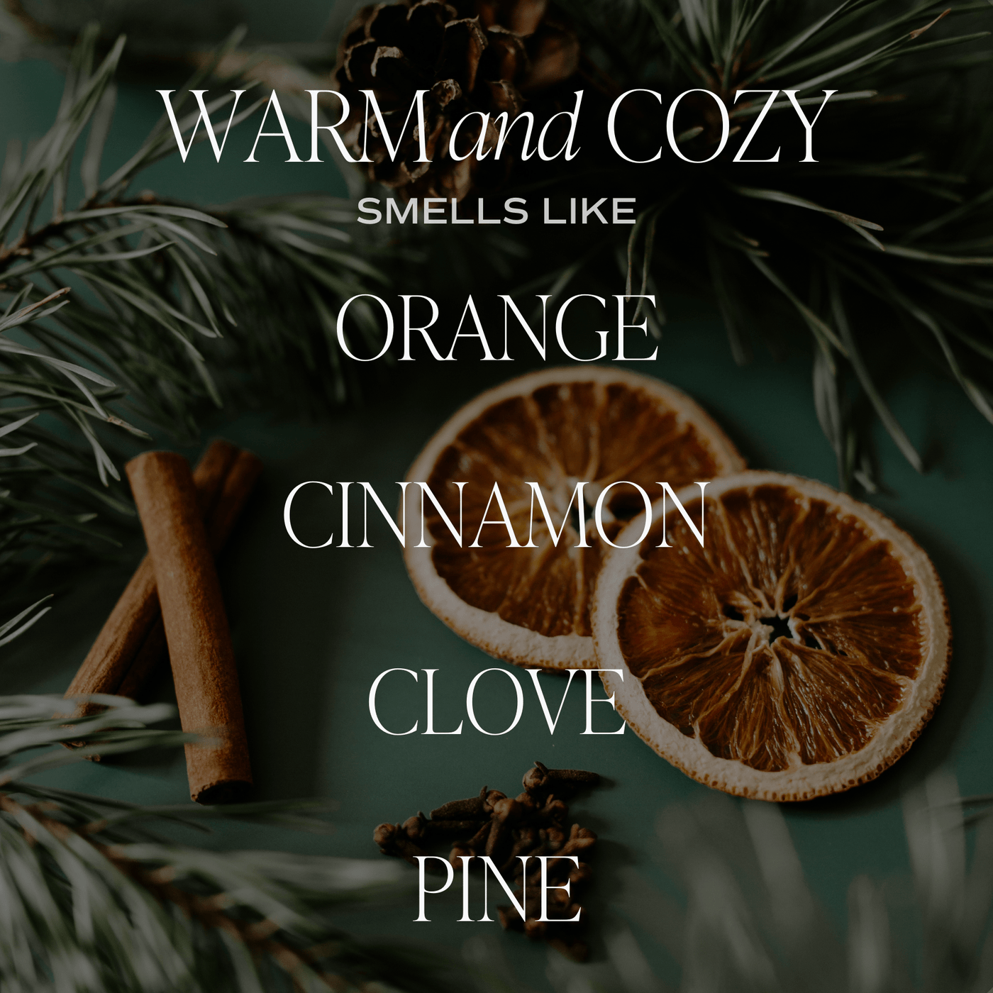 Warm and Cozy Soy Candle - Amber Jar - 9 oz THON - Sweet Water Decor - Candles