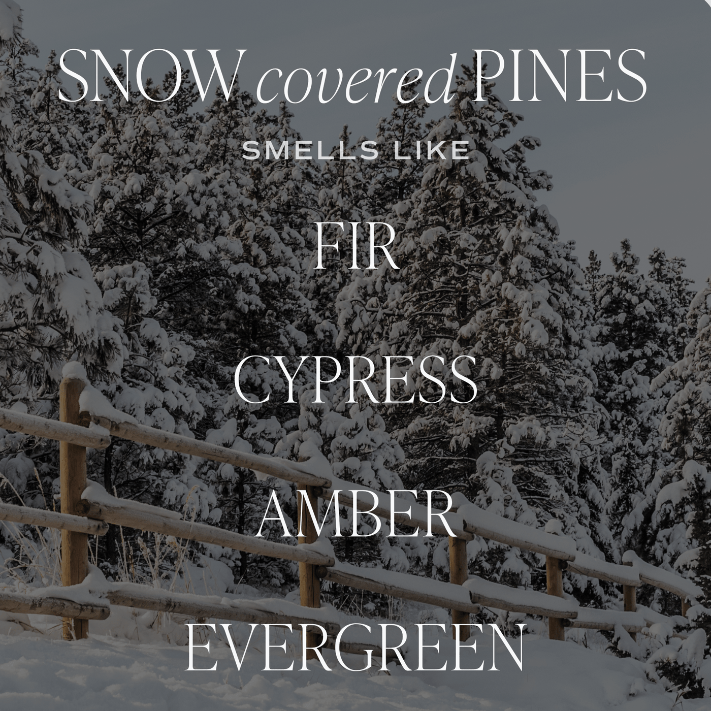 Snow Covered Pines Soy Candle - Green Matte Jar - 15 oz (Fraser Fir) - Sweet Water Decor - Candles