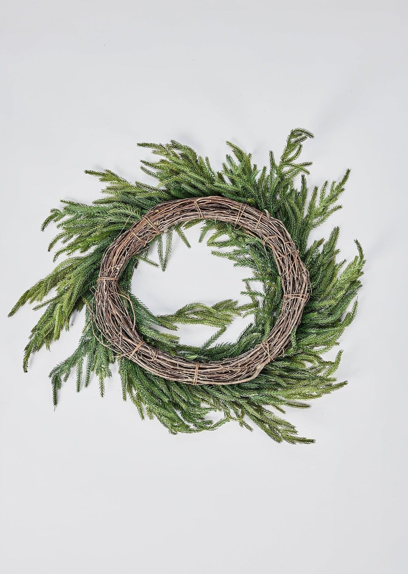 Afloral Real Touch Norfolk Pine Wreath - 24" - Sweet Water Decor - Wreaths