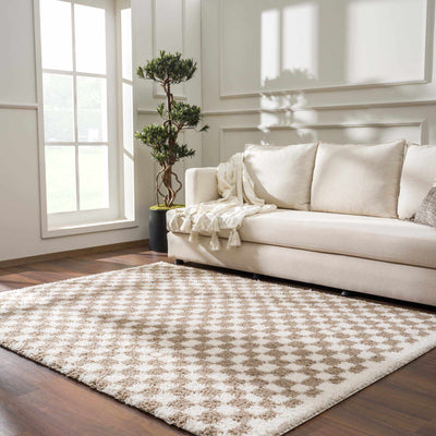 Kieu Light Gray & Taupe Checkered Area Rug - Sweet Water Decor - Rugs