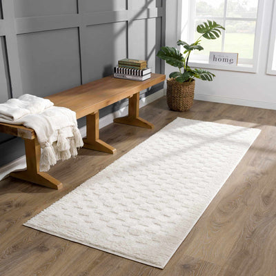 Leryn Ivory Checkered Area Rug - Sweet Water Decor - Rugs