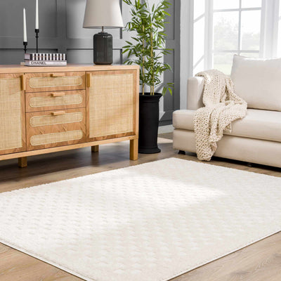 Leryn Ivory Checkered Area Rug - Sweet Water Decor - Rugs