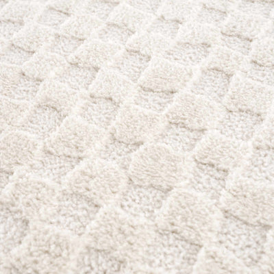 Leryn Ivory Checkered Area Rug - Sweet Water Decor - Rugs