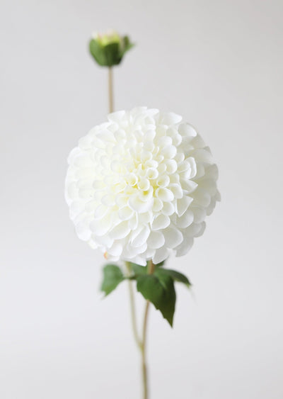 Blooming Fake Dahlia in White - 31" - Sweet Water Decor - Faux Plant