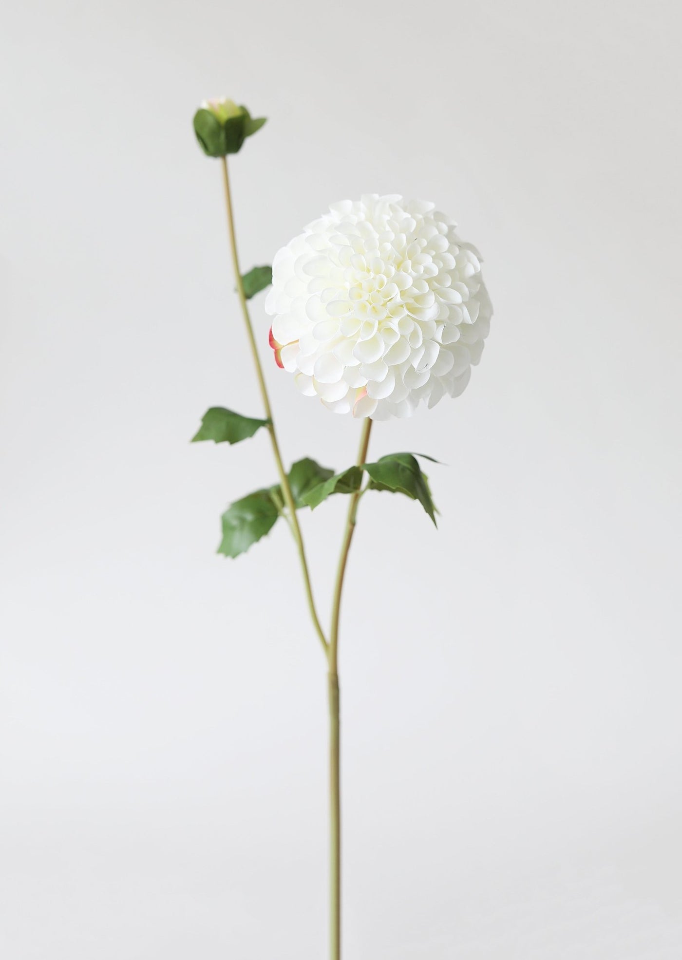 Blooming Fake Dahlia in White - 31" - Sweet Water Decor - Faux Plant