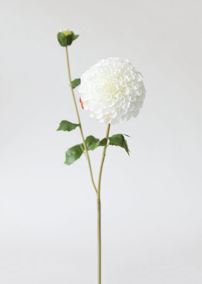 Blooming Fake Dahlia in White - 31" - Sweet Water Decor - Faux Plant