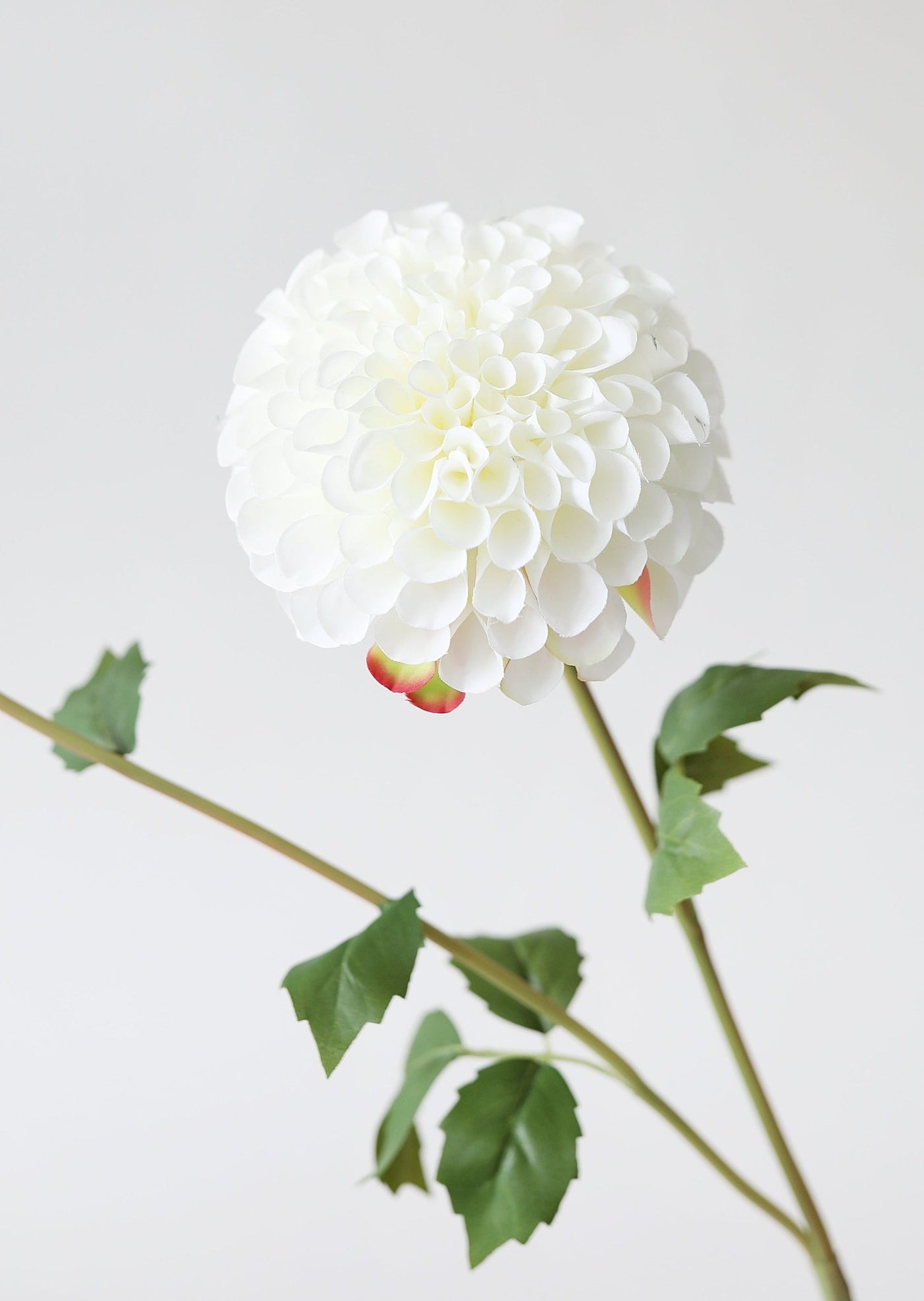 Blooming Fake Dahlia in White - 31" - Sweet Water Decor - Faux Plant