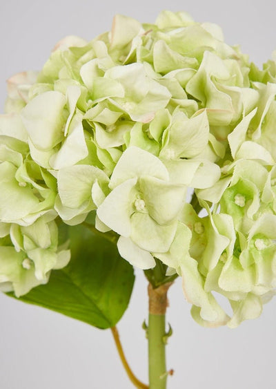 Artificial Flowers French Country Green Real Touch Hydrangea Stem - 18" - Sweet Water Decor - Faux Plant