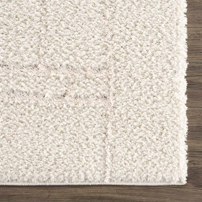 Andia Cream Plush Rug - Sweet Water Decor - Rugs