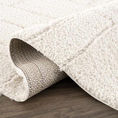 Andia Cream Plush Rug - Sweet Water Decor - Rugs