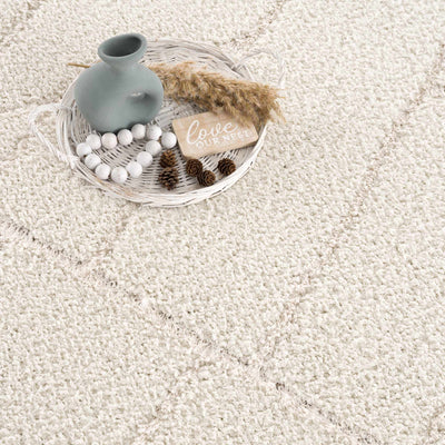 Andia Cream Plush Rug - Sweet Water Decor - Rugs