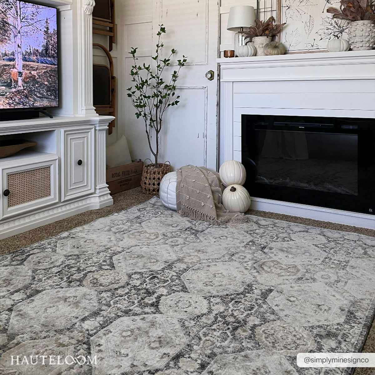 Minoa Area Rug - Sweet Water Decor - Rugs