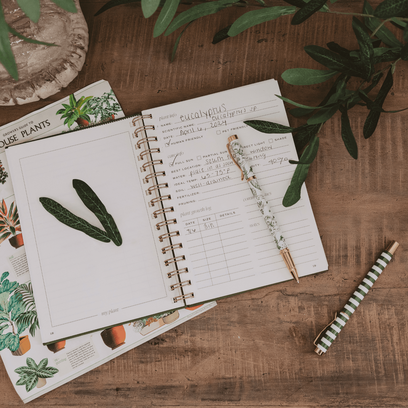 Plant Journal