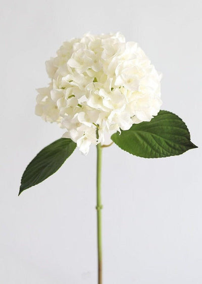 Fake Flowers Real Touch Hydrangea Stem in Talc White - 18" - Sweet Water Decor - Faux Plant