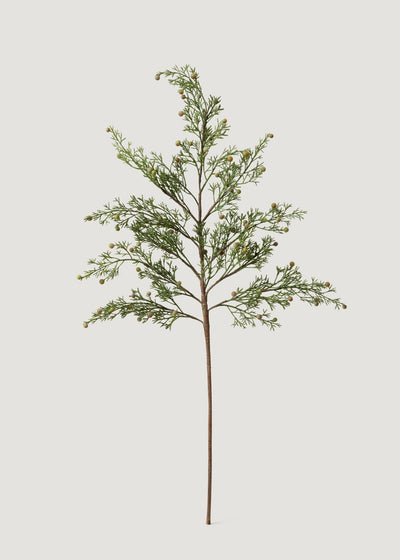 Artificial Christmas Greens Cypress Branch - 32" - Sweet Water Decor - Everyday Plants