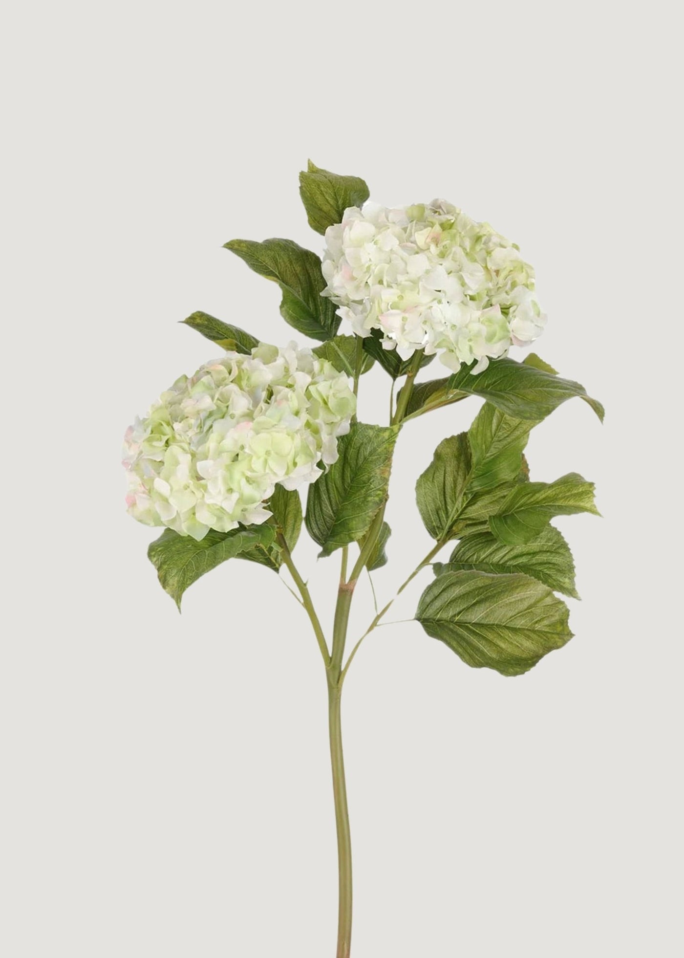 Cream Green Faux Hydrangea Branch - 36" - Sweet Water Decor - Faux Plant