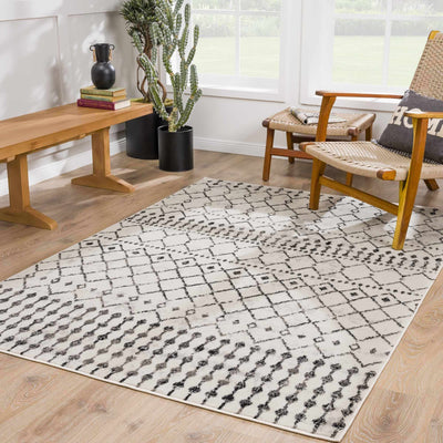 Cowplain Scandi Trellis Area Carpet - Sweet Water Decor - Rugs