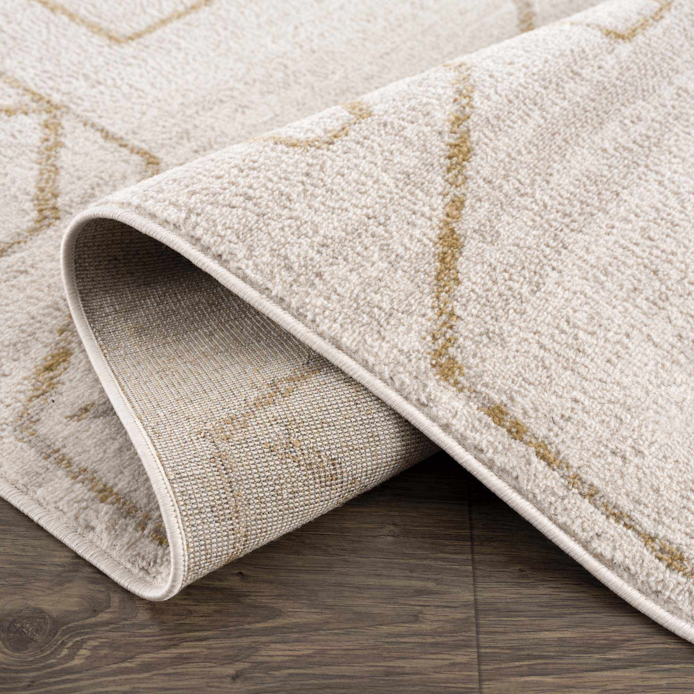 Azzan Cream & Gold Area Rug - Sweet Water Decor - Rugs