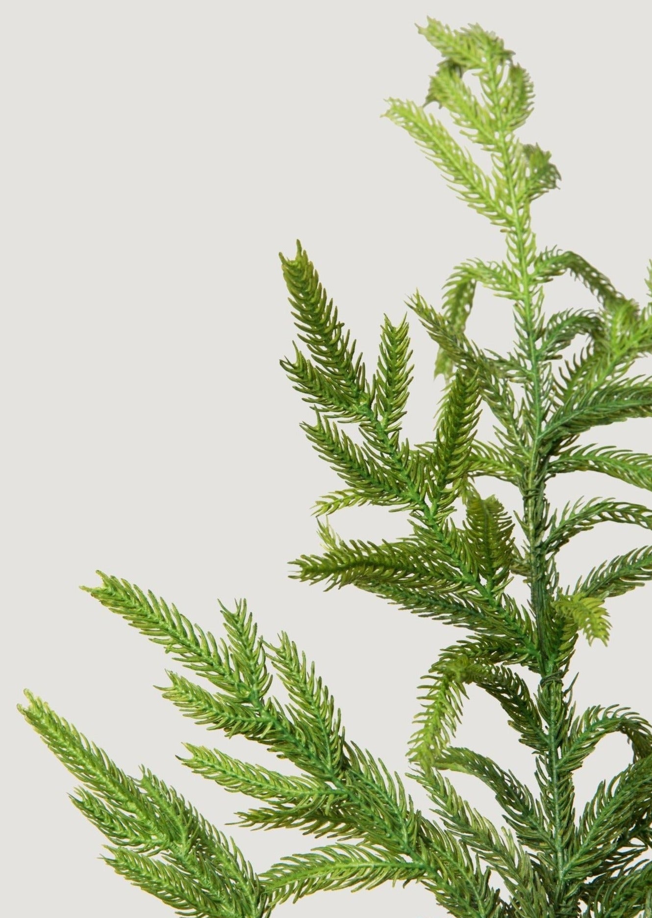 Afloral Real Touch Norfolk Pine Branch - 36" - Sweet Water Decor - Faux Plant