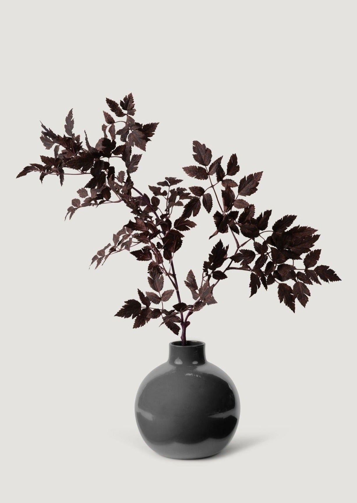 Fake Plants | New Afloral Plum Artificial Cimicifuga Plant Leaf Spray - 31" - Sweet Water Decor - Artificial Plant