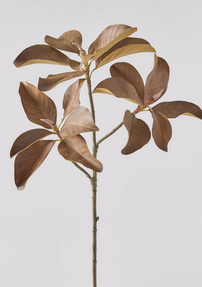 Aged Fake Magnolia Leaf Branch - 38.5" - Sweet Water Decor - Artificial Plant