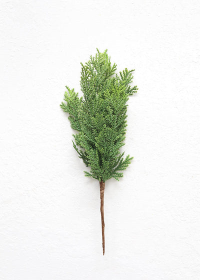 Artificial Natural Touch Cedar Pine - 10" - Sweet Water Decor - Faux Plant