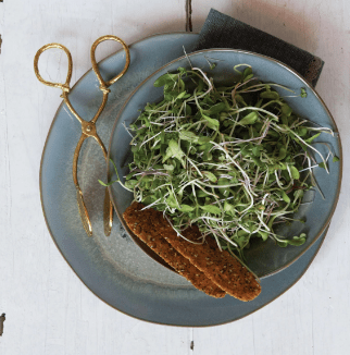 Brass Leaf Tongs - Sweet Water Decor - Serving Tongs