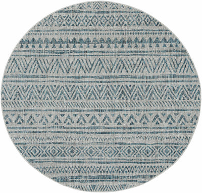 Ambridge Area Rug - Sweet Water Decor - Rugs