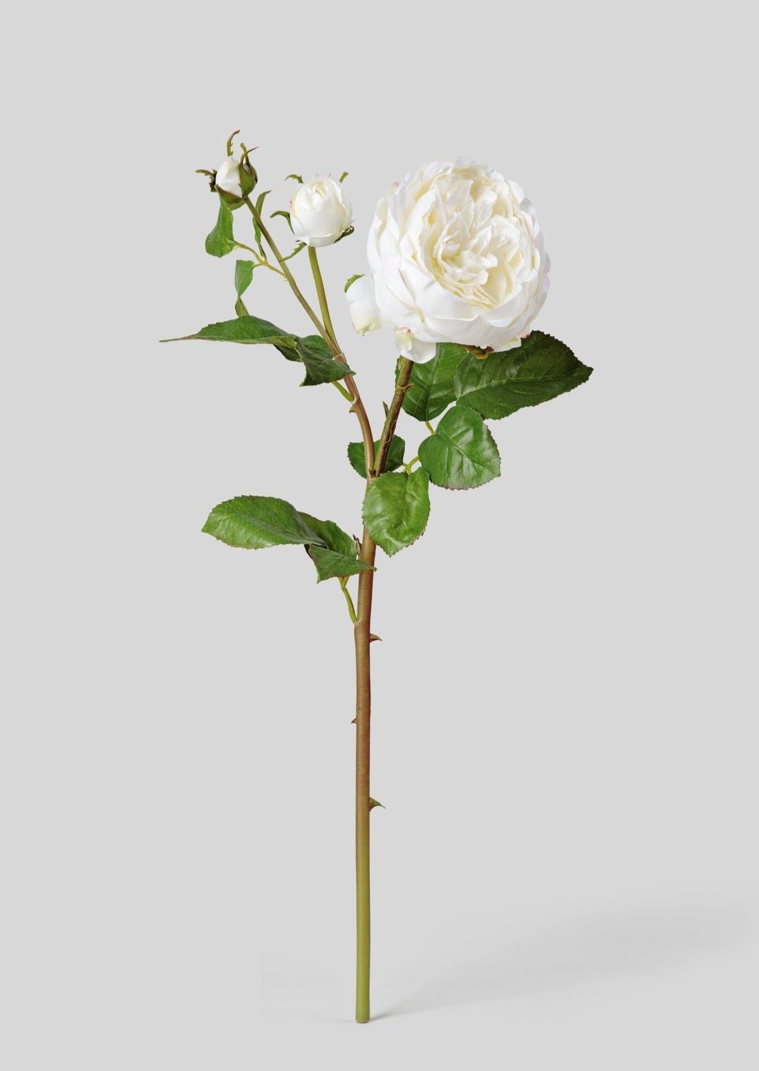 Real Touch Fake Flower English Rose with Bud - 21" - Sweet Water Decor - Faux Plant