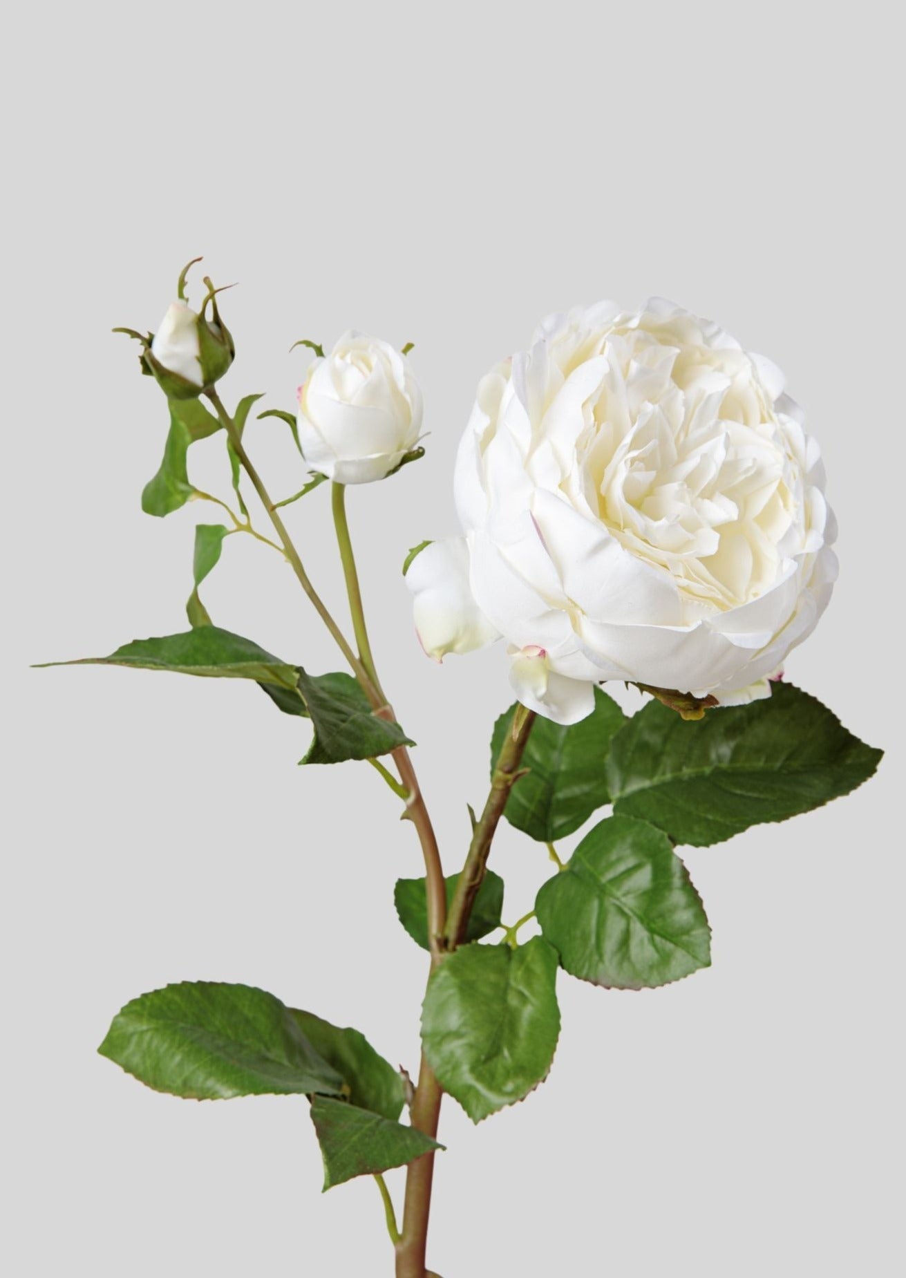 Real Touch Fake Flower English Rose with Bud - 21" - Sweet Water Decor - Faux Plant