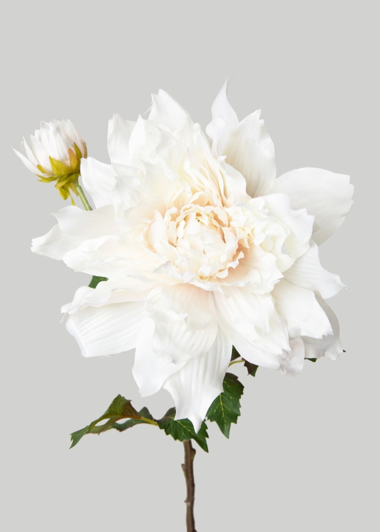 Cream White Artificial Dahlia Flower - 21.5" - Sweet Water Decor - Faux Plant