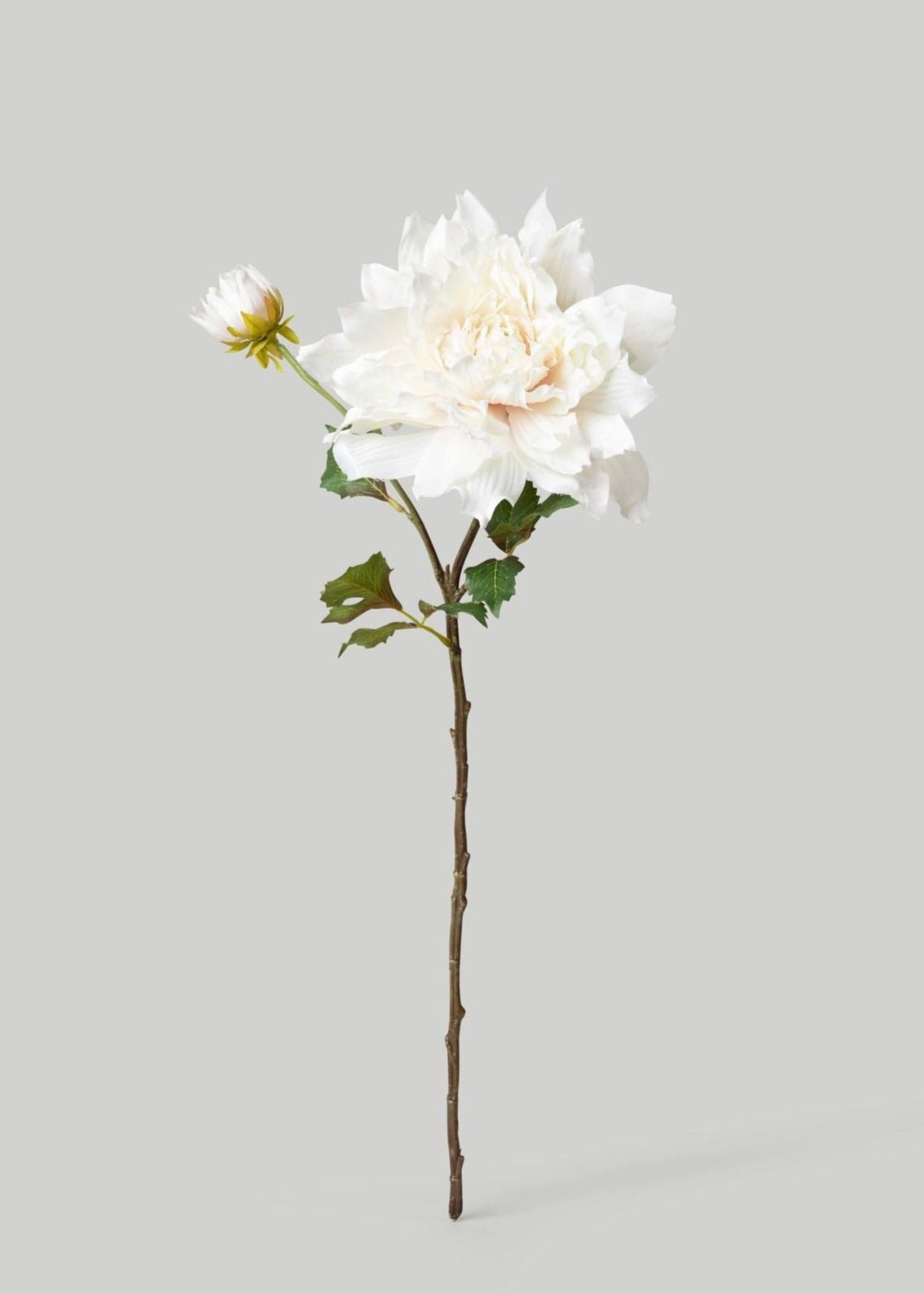 Cream White Artificial Dahlia Flower - 21.5" - Sweet Water Decor - Faux Plant